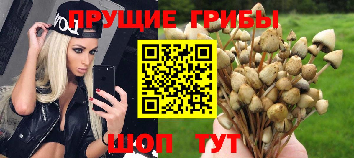 Киров  Галлюциногенные грибы MAGIC MUSHROOMS  Вход с VPN  Псилоцибиновые грибы MAGIC MUSHROOMS 